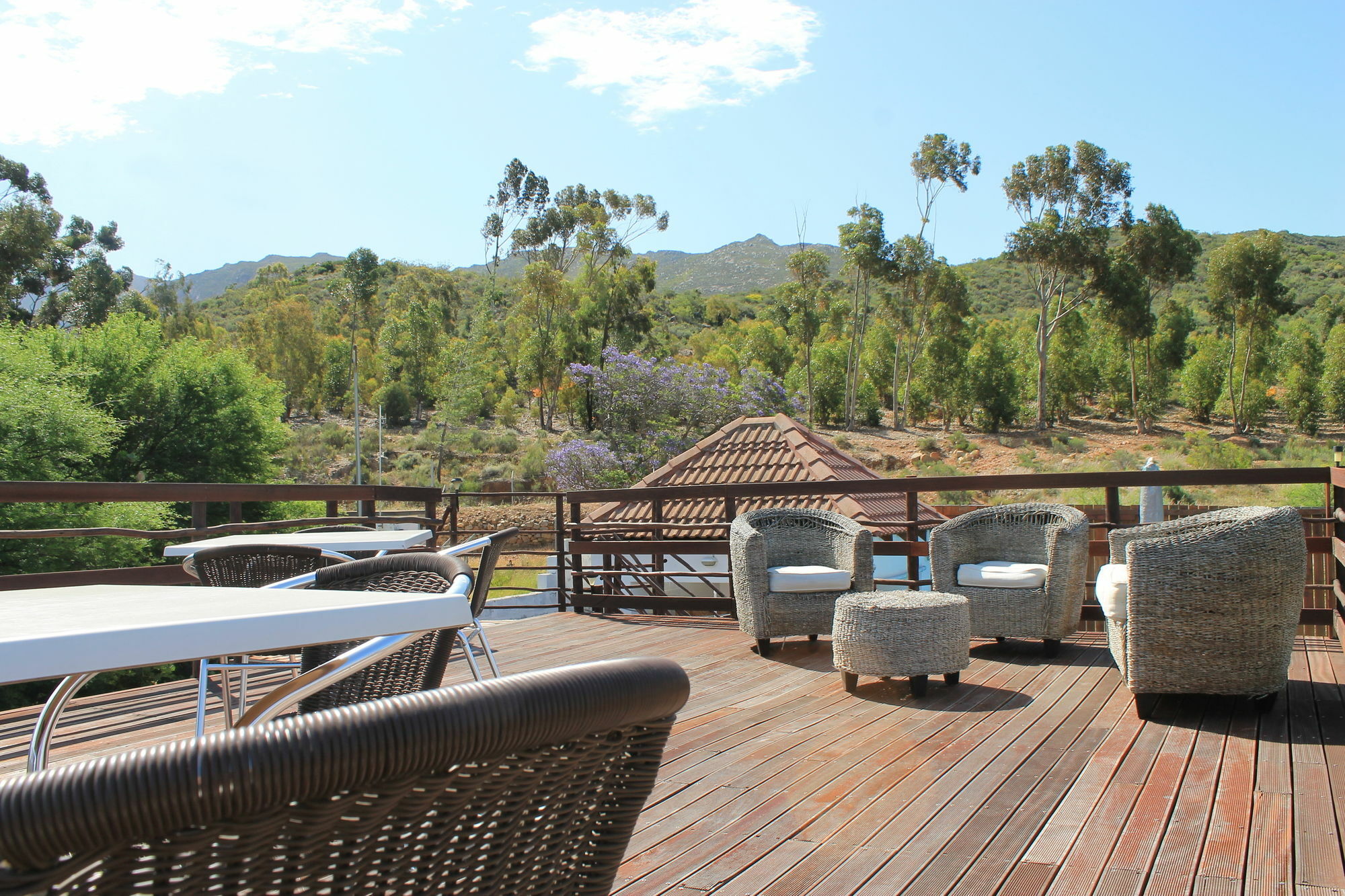 Mountain View Eco Lodge Montagu Kültér fotó
